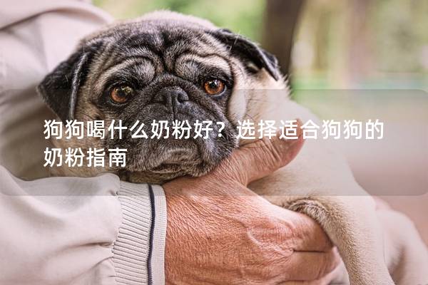 狗狗喝什么奶粉好？选择适合狗狗的奶粉指南