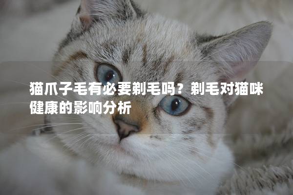 猫爪子毛有必要剃毛吗？剃毛对猫咪健康的影响分析