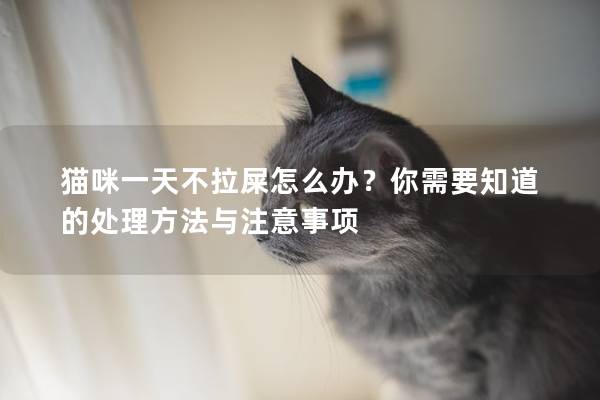 猫咪一天不拉屎怎么办？你需要知道的处理方法与注意事项