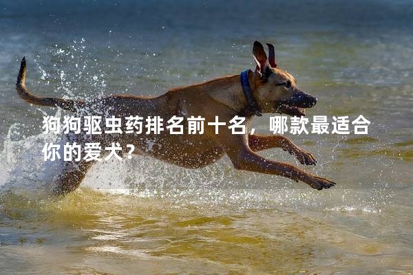 狗狗驱虫药排名前十名，哪款最适合你的爱犬？