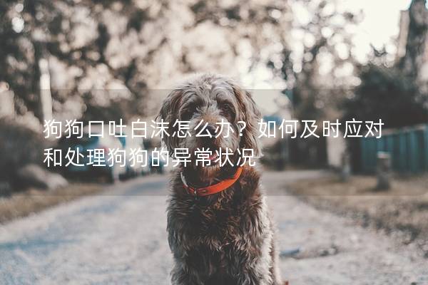 狗狗口吐白沫怎么办？如何及时应对和处理狗狗的异常状况