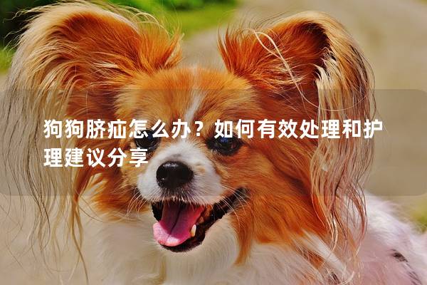 狗狗脐疝怎么办？如何有效处理和护理建议分享