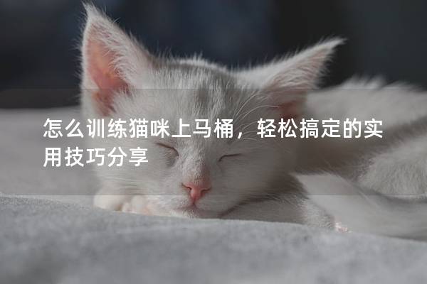 怎么训练猫咪上马桶，轻松搞定的实用技巧分享