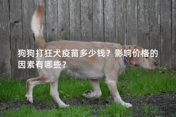 狗狗打狂犬疫苗多少钱？影响价格的因素有哪些？