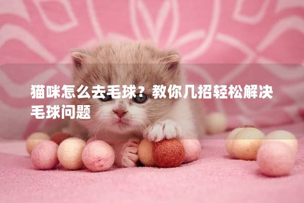 猫咪怎么去毛球？教你几招轻松解决毛球问题