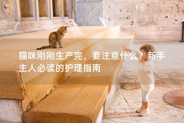 猫咪刚刚生产完，要注意什么？新手主人必读的护理指南