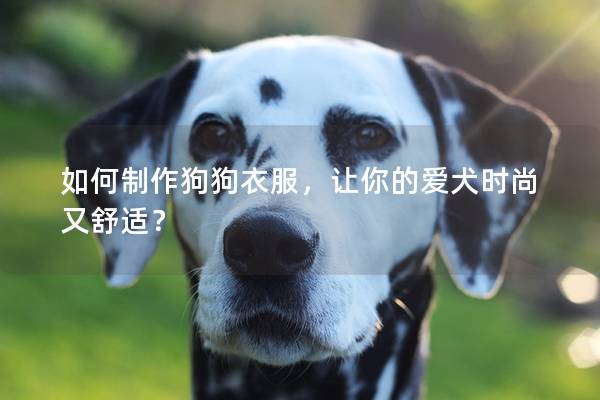 如何制作狗狗衣服，让你的爱犬时尚又舒适？