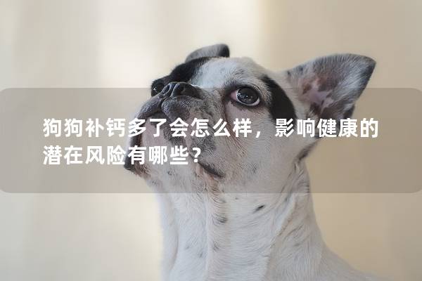 狗狗补钙多了会怎么样，影响健康的潜在风险有哪些？