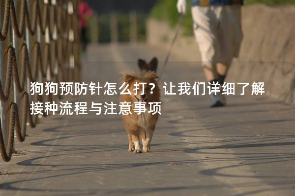 狗狗预防针怎么打？让我们详细了解接种流程与注意事项