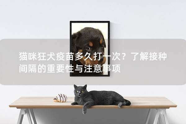 猫咪狂犬疫苗多久打一次？了解接种间隔的重要性与注意事项