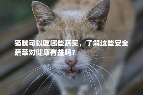 猫咪可以吃哪些蔬菜，了解这些安全蔬菜对健康有益吗？