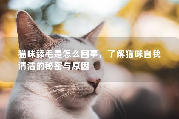 猫咪舔毛是怎么回事，了解猫咪自我清洁的秘密与原因