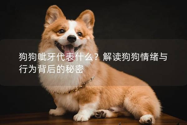 狗狗呲牙代表什么？解读狗狗情绪与行为背后的秘密