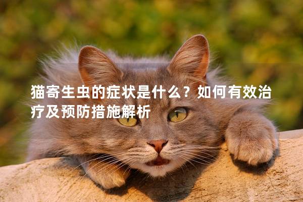 猫寄生虫的症状是什么？如何有效治疗及预防措施解析