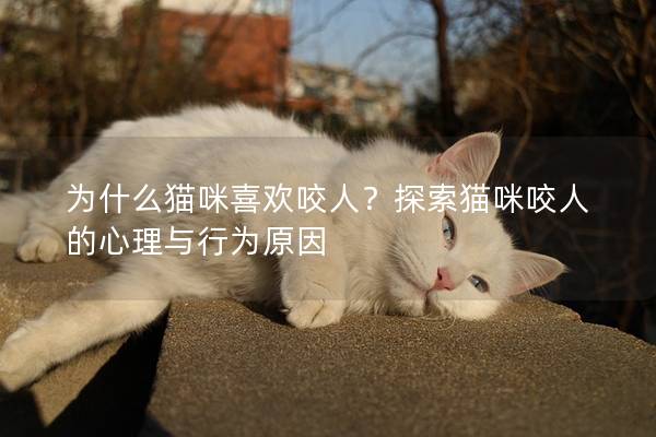 为什么猫咪喜欢咬人？探索猫咪咬人的心理与行为原因