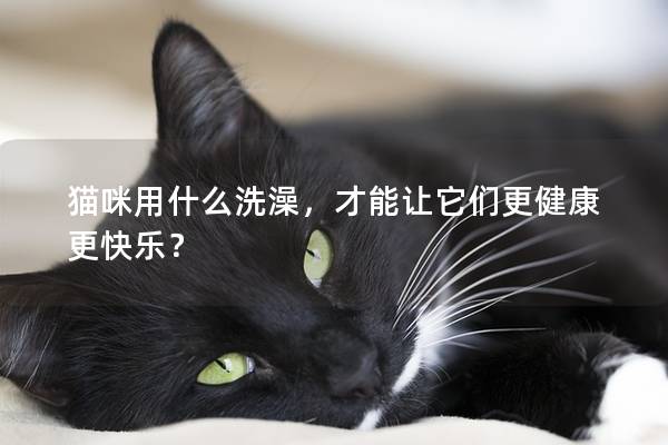 猫咪用什么洗澡，才能让它们更健康更快乐？