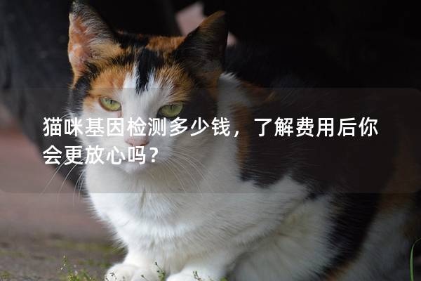 猫咪基因检测多少钱，了解费用后你会更放心吗？