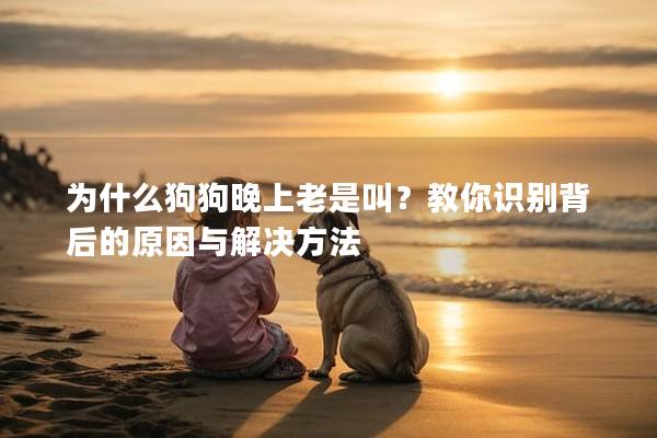 为什么狗狗晚上老是叫？教你识别背后的原因与解决方法