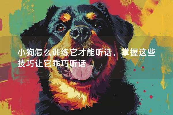 小狗怎么训练它才能听话，掌握这些技巧让它乖巧听话