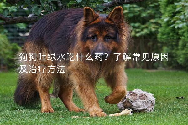 狗狗吐绿水吃什么药？了解常见原因及治疗方法