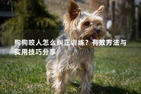 狗狗咬人怎么纠正训练？有效方法与实用技巧分享