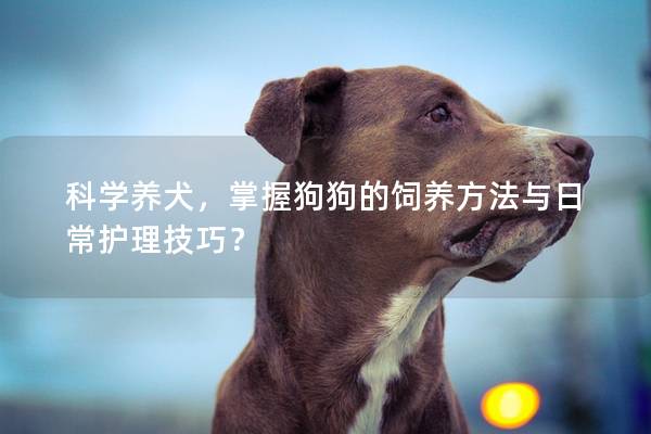 科学养犬，掌握狗狗的饲养方法与日常护理技巧？