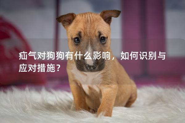 疝气对狗狗有什么影响，如何识别与应对措施？