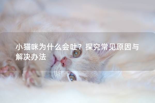 小猫咪为什么会吐？探究常见原因与解决办法