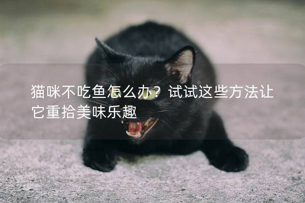 猫咪不吃鱼怎么办？试试这些方法让它重拾美味乐趣