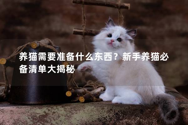 养猫需要准备什么东西？新手养猫必备清单大揭秘