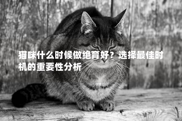 猫咪什么时候做绝育好？选择最佳时机的重要性分析