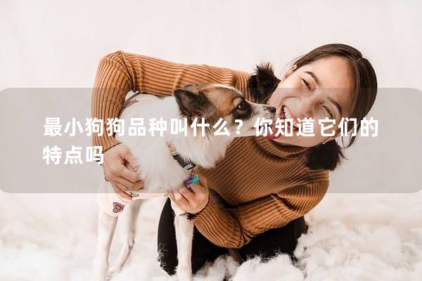 最小狗狗品种叫什么？你知道它们的特点吗