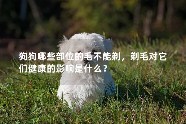 狗狗哪些部位的毛不能剃，剃毛对它们健康的影响是什么？