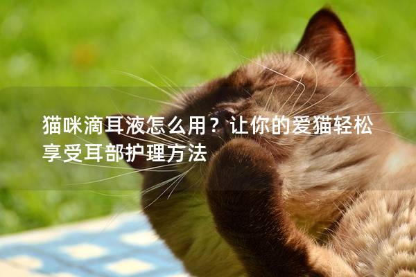 猫咪滴耳液怎么用？让你的爱猫轻松享受耳部护理方法