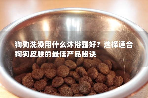 狗狗洗澡用什么沐浴露好？选择适合狗狗皮肤的最佳产品秘诀