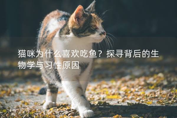 猫咪为什么喜欢吃鱼？探寻背后的生物学与习性原因