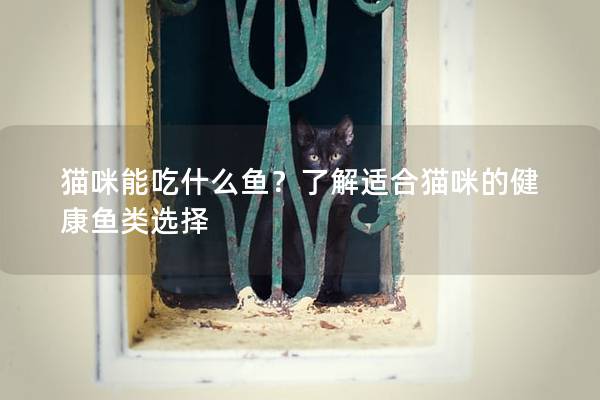 猫咪能吃什么鱼？了解适合猫咪的健康鱼类选择