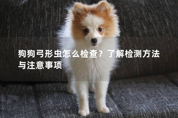 狗狗弓形虫怎么检查？了解检测方法与注意事项