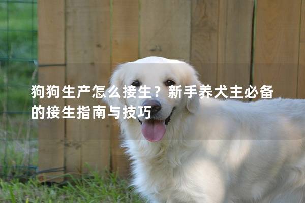 狗狗生产怎么接生？新手养犬主必备的接生指南与技巧