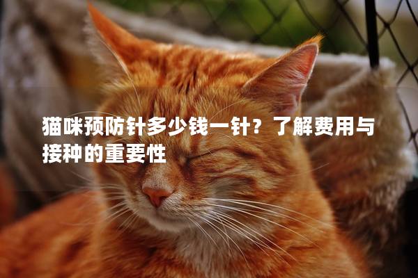 猫咪预防针多少钱一针？了解费用与接种的重要性