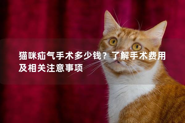 猫咪疝气手术多少钱？了解手术费用及相关注意事项