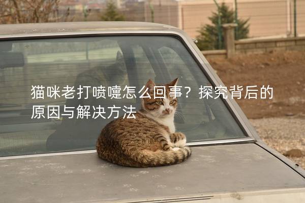 猫咪老打喷嚏怎么回事？探究背后的原因与解决方法