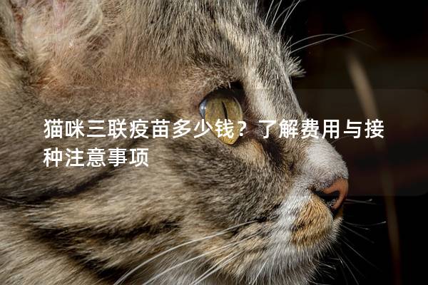 猫咪三联疫苗多少钱？了解费用与接种注意事项