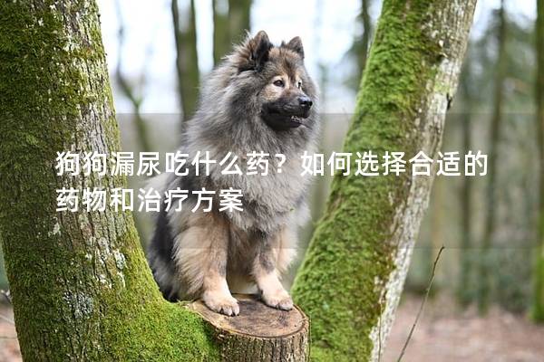 狗狗漏尿吃什么药？如何选择合适的药物和治疗方案