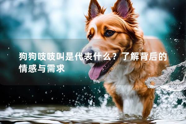 狗狗吱吱叫是代表什么？了解背后的情感与需求