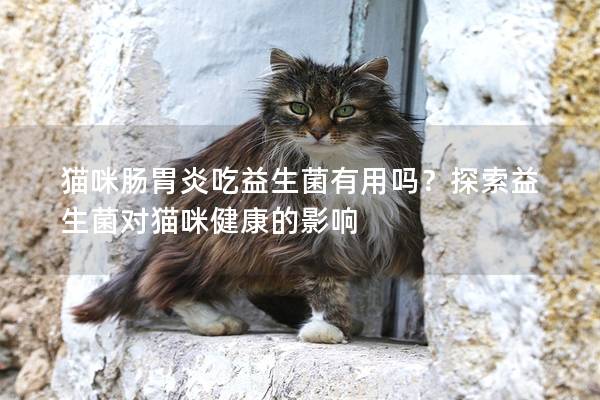 猫咪肠胃炎吃益生菌有用吗？探索益生菌对猫咪健康的影响