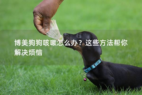 博美狗狗咳嗽怎么办？这些方法帮你解决烦恼