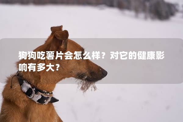 狗狗吃薯片会怎么样？对它的健康影响有多大？