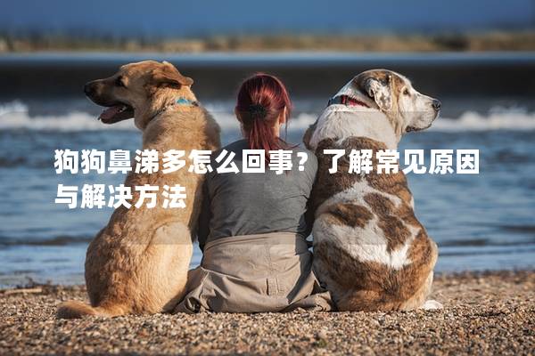 狗狗鼻涕多怎么回事？了解常见原因与解决方法