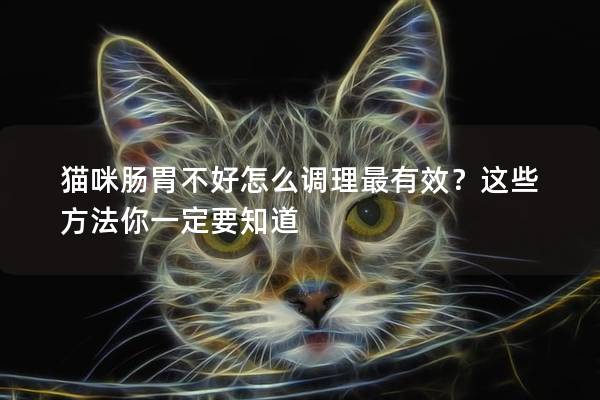 猫咪肠胃不好怎么调理最有效？这些方法你一定要知道